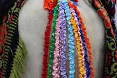 2026-02-17-Carnaval-Casavieja-172-CFR