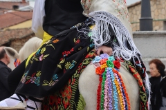 2026-02-17-Carnaval-Casavieja-173-CFR