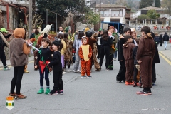 2026-02-17-Carnaval-Casavieja-198-CFR