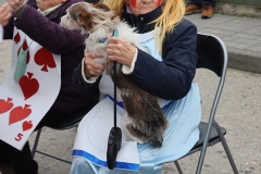 2026-02-17-Carnaval-Casavieja-303-CFR