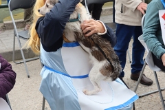 2026-02-17-Carnaval-Casavieja-307-CFR