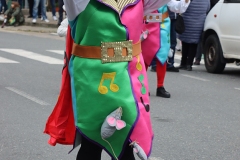 2026-02-17-Carnaval-Casavieja-319-CFR