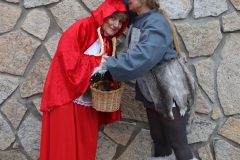 2026-02-17-Carnaval-Casavieja-398-CFR