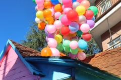 2026-02-14-Carnaval-Casavieja-133-CFR