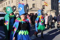 2026-02-14-Carnaval-Casavieja-265-CFR
