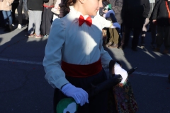 2026-02-14-Carnaval-Casavieja-341-CFR