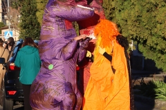 2026-02-14-Carnaval-Casavieja-394-CFR