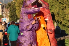 2026-02-14-Carnaval-Casavieja-395-CFR