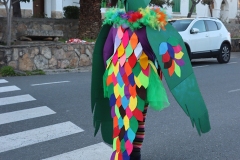 2026-02-14-Carnaval-Casavieja-444-CFR