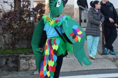 2026-02-14-Carnaval-Casavieja-446-CFR