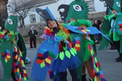 2026-02-14-Carnaval-Casavieja-453-CFR