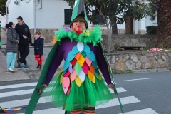 2026-02-14-Carnaval-Casavieja-454-CFR