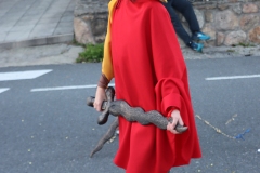 2026-02-14-Carnaval-Casavieja-491-CFR