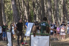 exhibicion-de-rapaces-diurnas-y-nocturnas-sabado-17-julio-2021-11