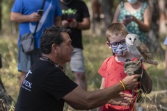 exhibicion-de-rapaces-diurnas-y-nocturnas-sabado-17-julio-2021-14
