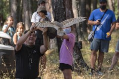 exhibicion-de-rapaces-diurnas-y-nocturnas-sabado-17-julio-2021-19