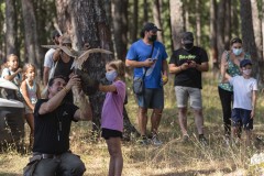 exhibicion-de-rapaces-diurnas-y-nocturnas-sabado-17-julio-2021-20