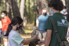 exhibicion-de-rapaces-diurnas-y-nocturnas-sabado-17-julio-2021-22