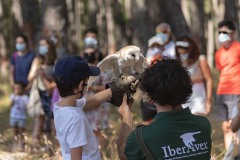 exhibicion-de-rapaces-diurnas-y-nocturnas-sabado-17-julio-2021-23