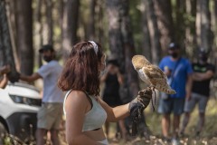 exhibicion-de-rapaces-diurnas-y-nocturnas-sabado-17-julio-2021-25