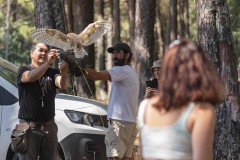 exhibicion-de-rapaces-diurnas-y-nocturnas-sabado-17-julio-2021-26