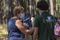 exhibicion-de-rapaces-diurnas-y-nocturnas-sabado-17-julio-2021-27
