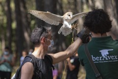 exhibicion-de-rapaces-diurnas-y-nocturnas-sabado-17-julio-2021-29