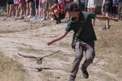 exhibicion-de-rapaces-diurnas-y-nocturnas-sabado-17-julio-2021-3