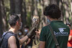 exhibicion-de-rapaces-diurnas-y-nocturnas-sabado-17-julio-2021-30