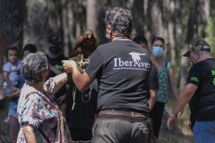 exhibicion-de-rapaces-diurnas-y-nocturnas-sabado-17-julio-2021-33