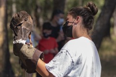 exhibicion-de-rapaces-diurnas-y-nocturnas-sabado-17-julio-2021-34