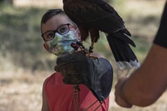 exhibicion-de-rapaces-diurnas-y-nocturnas-sabado-17-julio-2021-35