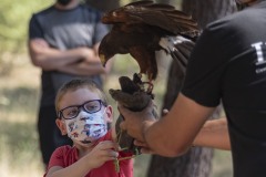 exhibicion-de-rapaces-diurnas-y-nocturnas-sabado-17-julio-2021-36