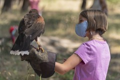exhibicion-de-rapaces-diurnas-y-nocturnas-sabado-17-julio-2021-37