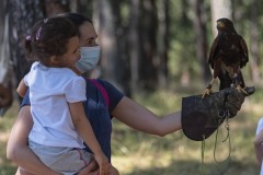 exhibicion-de-rapaces-diurnas-y-nocturnas-sabado-17-julio-2021-39