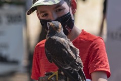 exhibicion-de-rapaces-diurnas-y-nocturnas-sabado-17-julio-2021-43