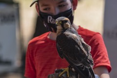 exhibicion-de-rapaces-diurnas-y-nocturnas-sabado-17-julio-2021-44