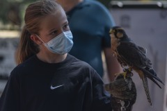 exhibicion-de-rapaces-diurnas-y-nocturnas-sabado-17-julio-2021-45