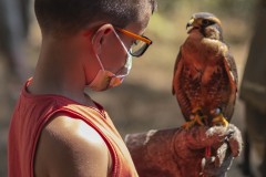 exhibicion-de-rapaces-diurnas-y-nocturnas-sabado-17-julio-2021-46