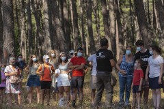 exhibicion-de-rapaces-diurnas-y-nocturnas-sabado-17-julio-2021-6