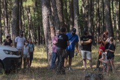 exhibicion-de-rapaces-diurnas-y-nocturnas-sabado-17-julio-2021-8