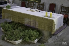 san-bartolome-24-agosto-2022-8