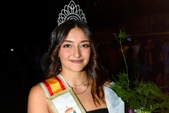 Fiestas25-D22-238