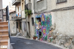 Fiestas25-D23-104