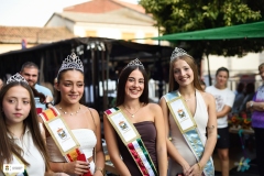 Fiestas25-D23-81