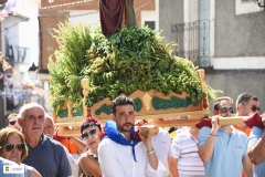 Fiestas25-D24-207