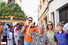 Fiestas25-D24-224