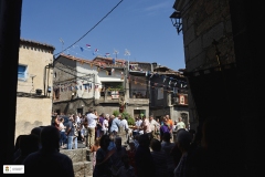 Fiestas25-D24-277
