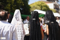 Fiestas25-D24-331