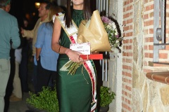 Fiestas26-S22-161